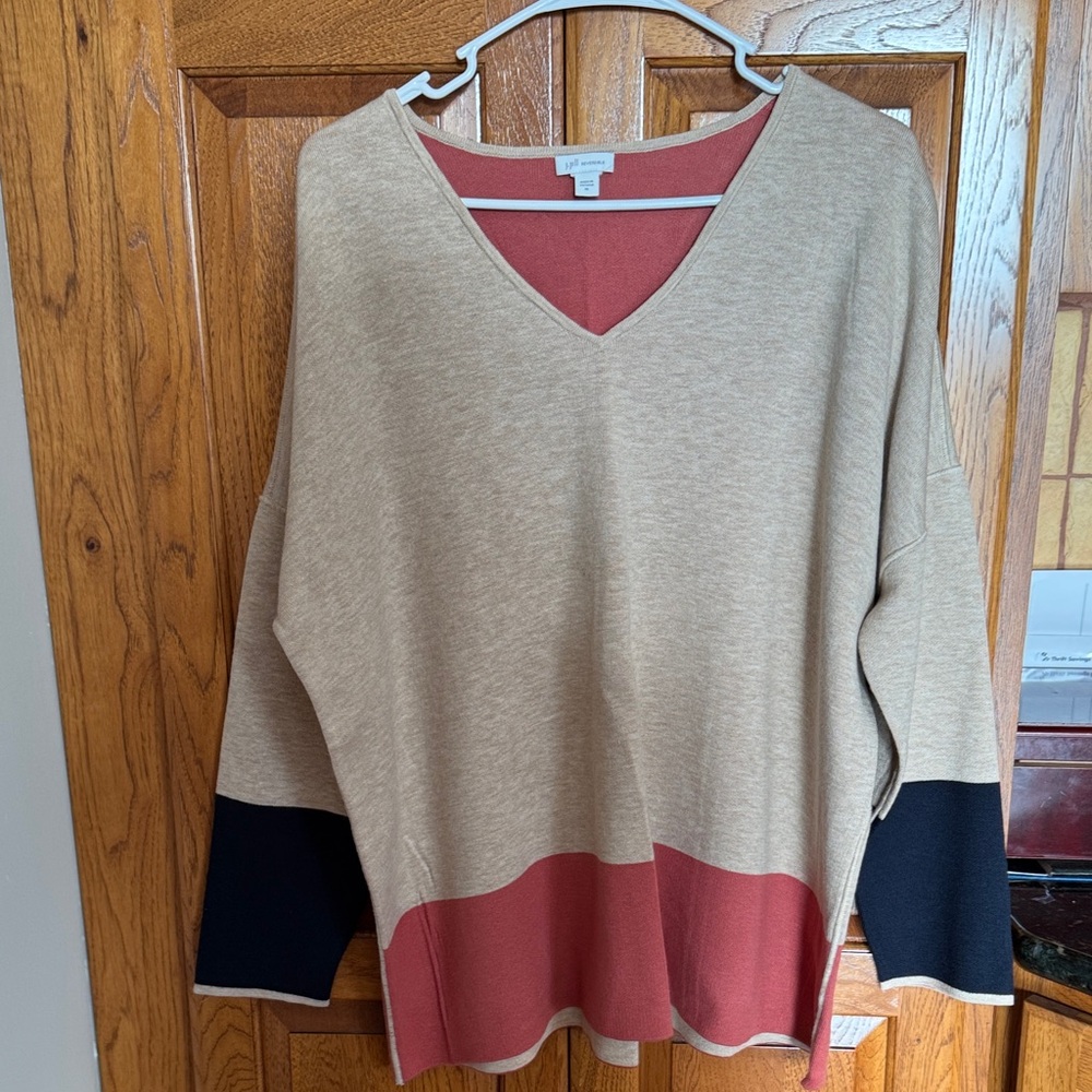 J. Jill Tan and Black V-Neck Sweater